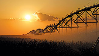 Irrigação por pivô central em um campo de milho ao pôr do sol