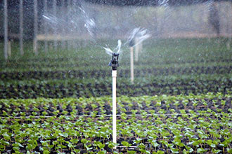drip irrigation systems