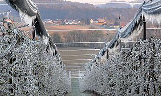 Aspersor Xcel-Wobbler em um sistema de proteção contra congelamento na Áustria