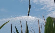 end-spray-irrigation-corn.jpg