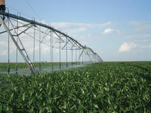 super-spray-irrigation-corn.jpg