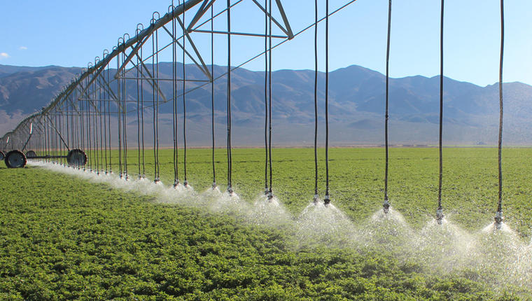 Saving Water & Increasing Alfalfa Yield with LEPA Close Spacing ...