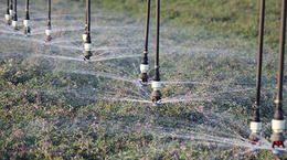 The Versatile LDN Offers Multiple Options for Specific Irrigation Solutions