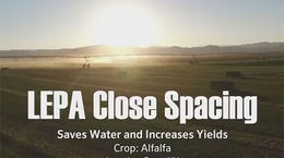 Entrevista: O espaçamento curto LEPA economiza água e aumenta a produtividade de alfafa em Nevada