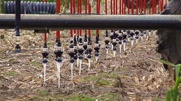 Borbulhadores LEPA aumentam a eficiência da irrigação no Kansas- Entrevista com Dwane Roth